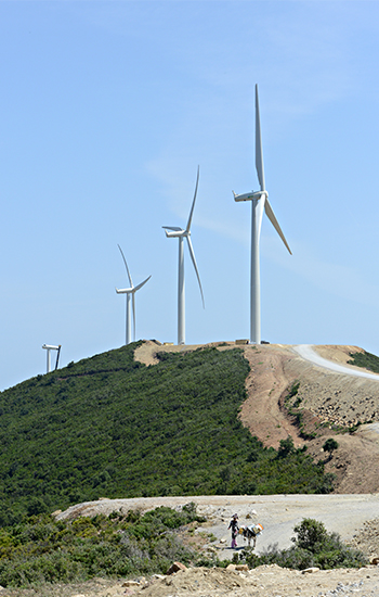 Haouma Wind farm