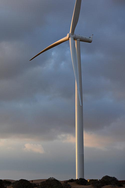 Tarfaya wind farm